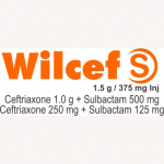 Wilcef S